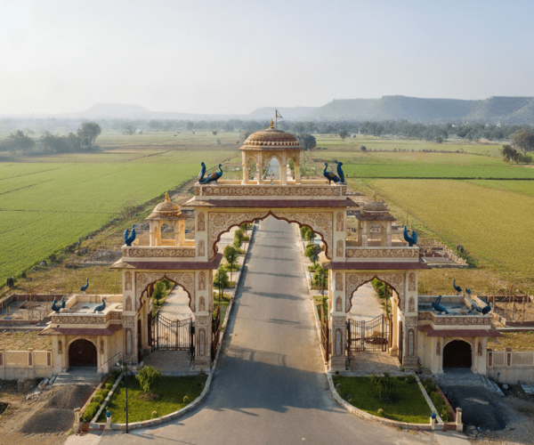 Gemini_Generated_Image_bhmpl8bhmpl8bhmp